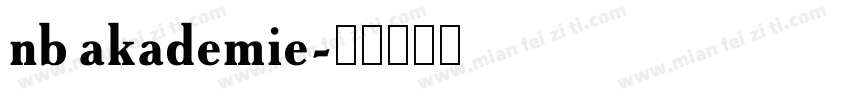 nb akademie字体转换